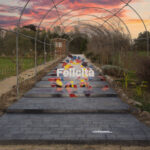"Felicità" Pittura acrilica bicomponente su scalinata (dimensioni variabili) @il_giardino_di_lu Pimentel 2025