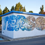 "Terso" spray su muro 54mq Pula 2016