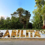 "disABILITA'" quarzo e spray su muro 800mq Sassari 2023