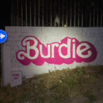 Burdie Spray e pittura su parete e cassetta della posta 12m² Cagliari 2026